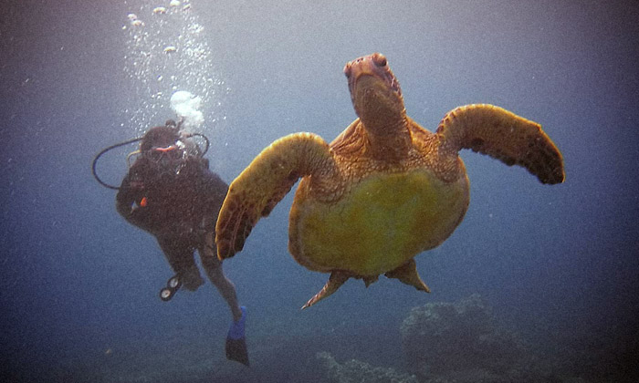 sands_scuba.jpg